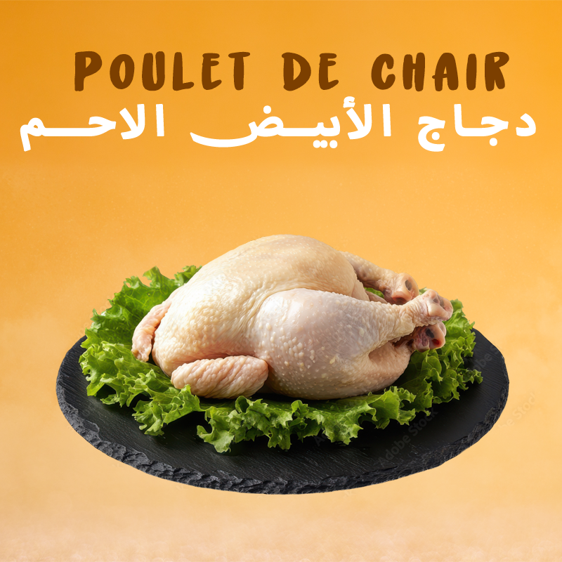 Poulet de chair